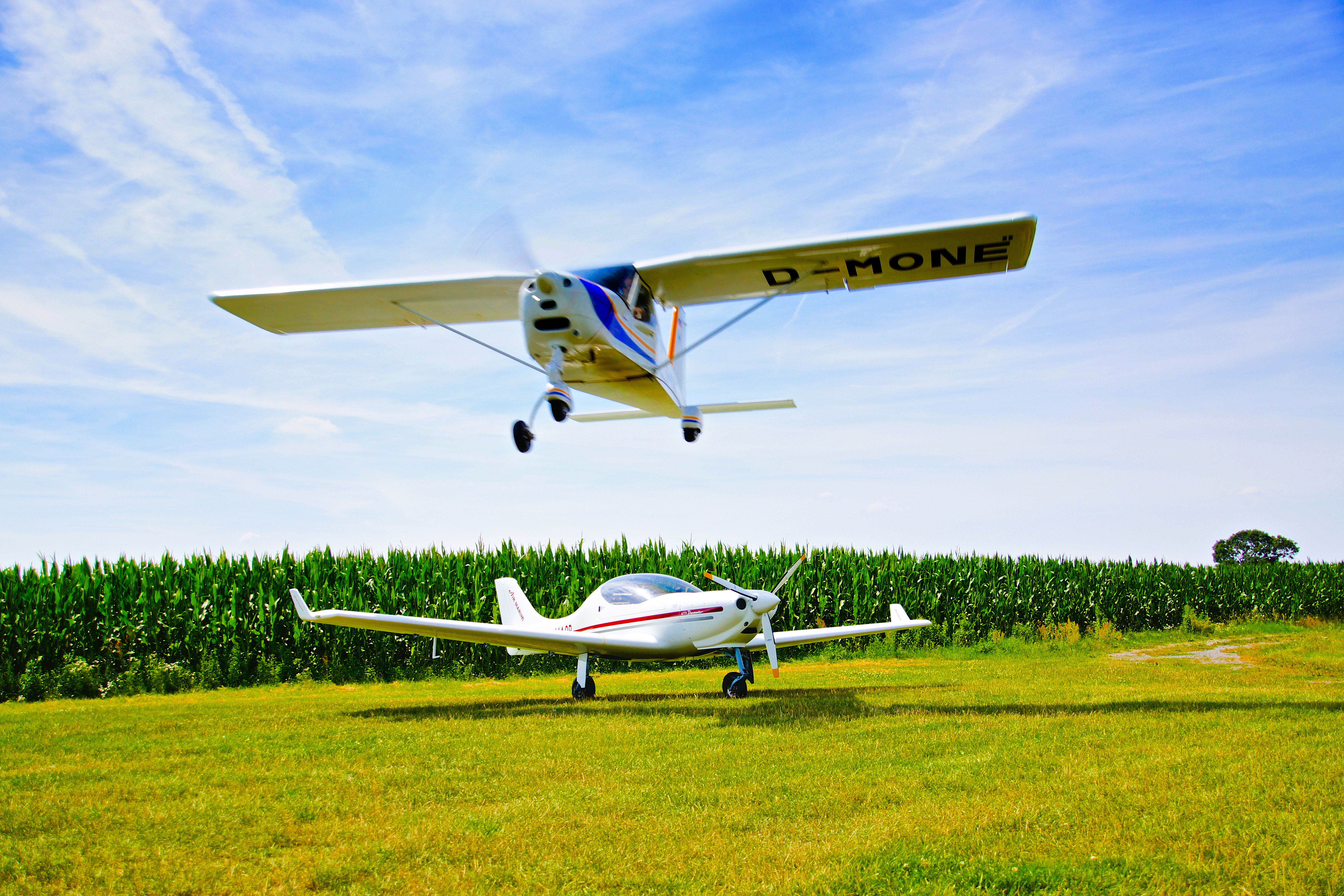 Zwei Sportflugzeuge, eines im Flug und eines am Boden, auf einer grünen Wiese vor einem Maisfeld unter blauem Himmel